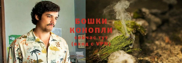 индика Протвино
