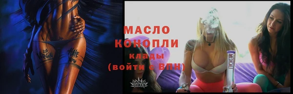 индика Протвино