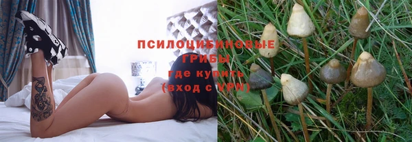 индика Протвино