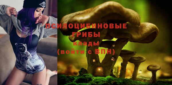 spice Балабаново