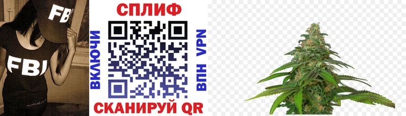 купить   Стрежевой  Шишки марихуана гибрид 